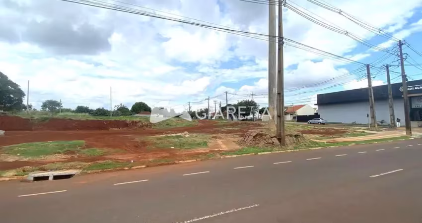 Lote amplo à venda em excelente localização, jardim pancera, toledo - pr