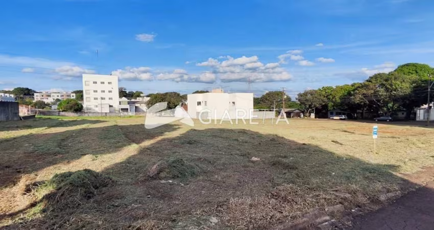 Terreno amplo com excelente metragem à venda, VILA BECKER, TOLEDO - PR
