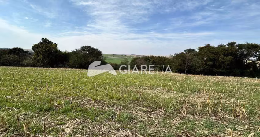 Chácara ampla à venda em ótima localização, ouro preto, toledo - pr