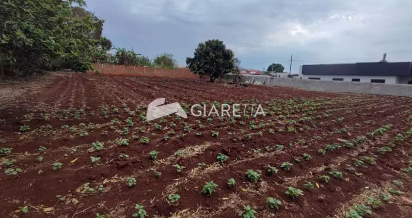 Terreno amplo à venda em ótima localização, bom princípio do oeste, toledo - pr