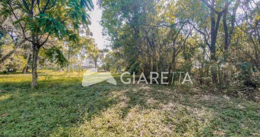 Chácara urbana à venda,12000.00 m , jardim concordia, toledo - pr