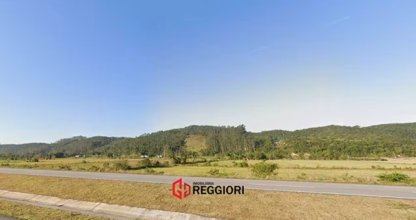 AREA 140 MIL M² CONTORNO SUL DA BR 101 BIGUAÇU