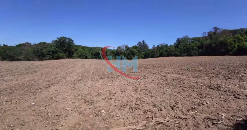 Chácara / sítio à venda no Pinhal, Jarinu 