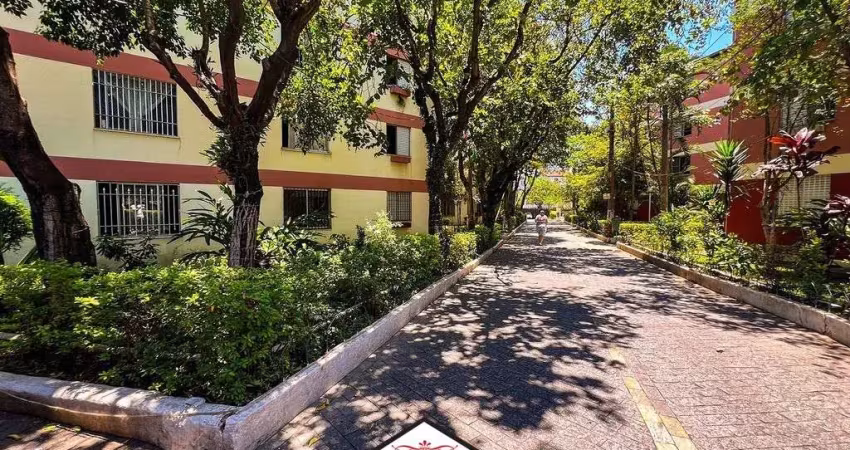 Apartamento com 2 quartos à venda em Vila Nova Cachoeirinha, São Paulo 