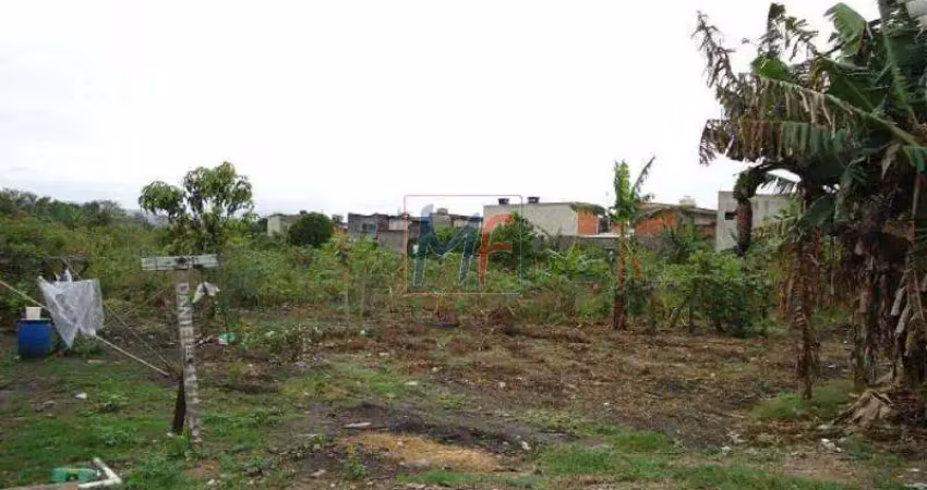 Terreno com 6.000 m², 3 lotes no bairro jardim presidente dutra com possibilidade de vender e alugar lotes separados. zeis a 3 ref: 10.869