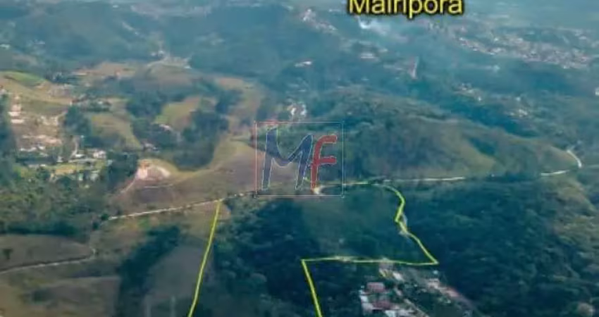 Ótimo terreno com 124.077 m², cercado, frente para o asfalto, localização privilegiada no bairro suíça da cantareira. não aceita permutas.  ref: 11.027