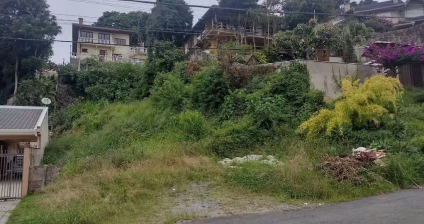 Terreno à venda, 420.00 m2 por r$480000.00  - vista alegre - curitiba/pr