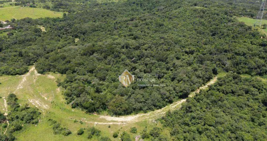 Oportunidade única em itu: 10 alqueires de mata nativa para crédito de carbono: lei 15.042, de 12.12.2024
