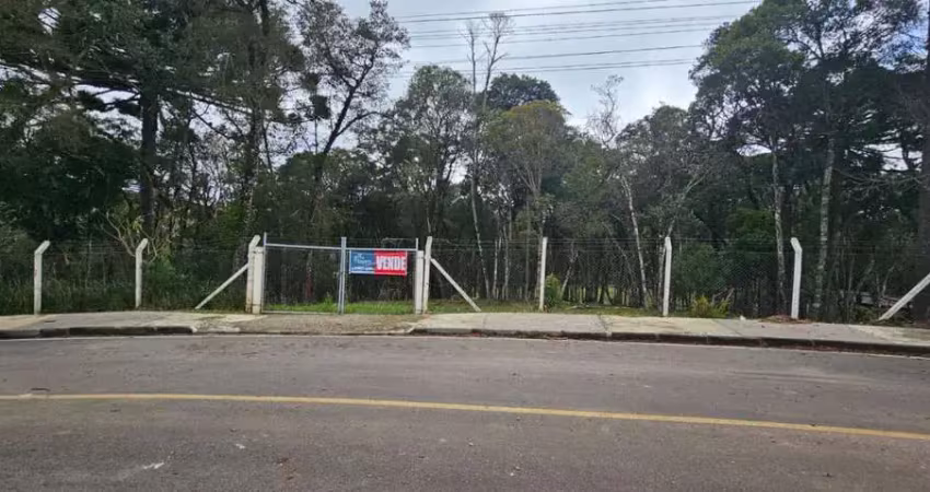 Terreno à venda na Rua Padre Gustavo Gian Pietro, 728, Centro, Quatro Barras