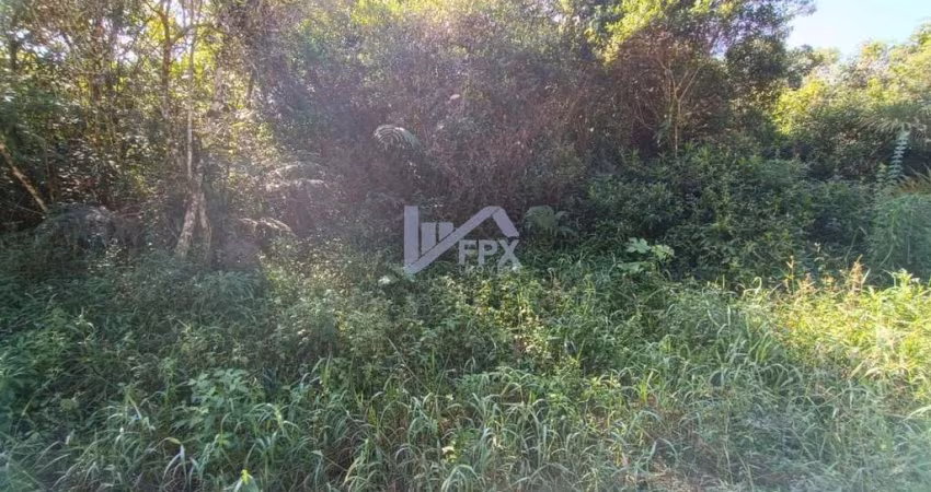 Terreno para Venda em Itanhaém, Parque Alvorada