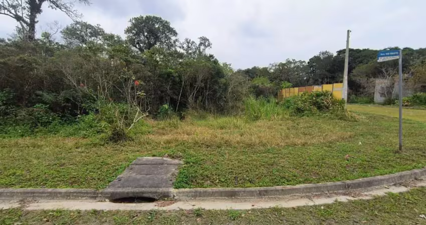 Terreno à venda na Avenida Flacides Ferreira, 796, Balneario Fênix, Itanhaém