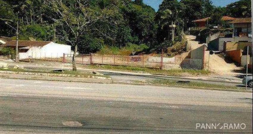 Terreno para alugar, 3641 m² por R$ 3.096,25/mês - Salto - Blumenau/SC