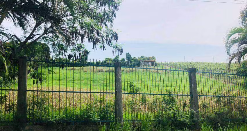 Terreno à venda, 5000 m² por R$ 810.000,00 - Traviú - Jundiaí/SP