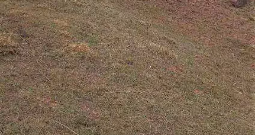 Terreno à venda - condomínio bosque do horto - jundiaí/sp