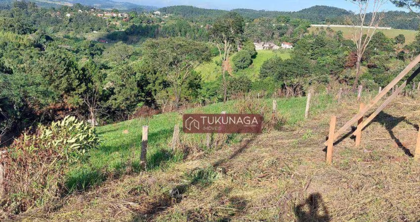 Terreno à venda, 8700 m² por R$ 353.950,00 - Atibaia Belvedere - Atibaia/SP