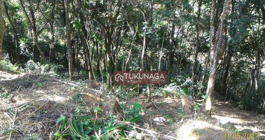 Terreno à venda, 447 m² por R$ 100.000,00 - Hortolândia - Mairiporã/SP