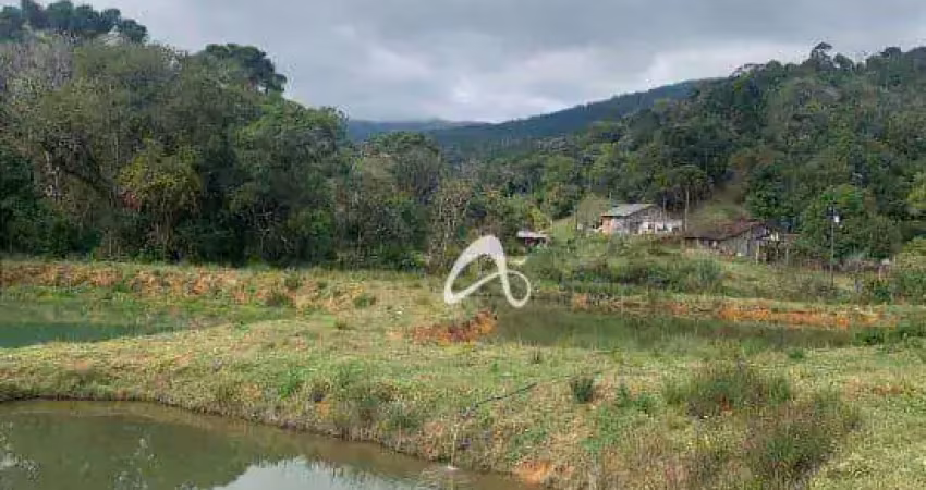 Sítio com 2 dormitórios à venda, 871200 m² por r$ 1.782.000,00 - zona rural - tijucas do sul/pr