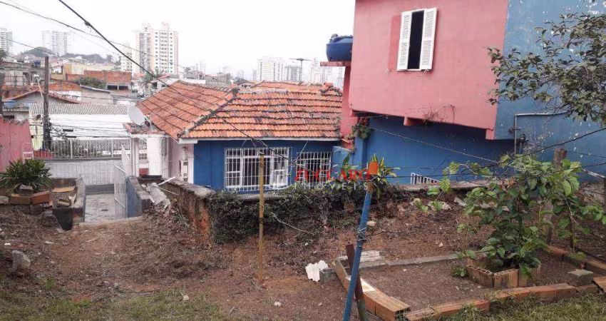 terreno jardim do papai