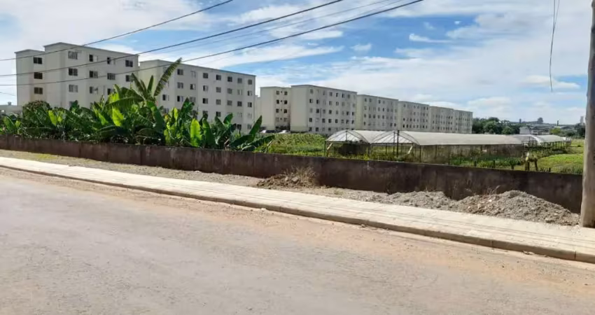 Área à venda, 35909 m² por r$ 26.000.000,00 - vila nova bonsucesso - guarulhos/sp