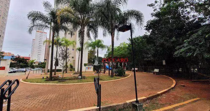 Apartamento à venda, 56 m² por R$ 332.000,00 - Cocaia - Guarulhos/SP