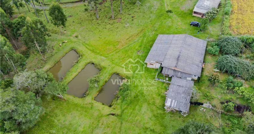 Sítio à venda, 81000 m² por r$ 1.090.000 - água amarela - antônio olinto/pr
