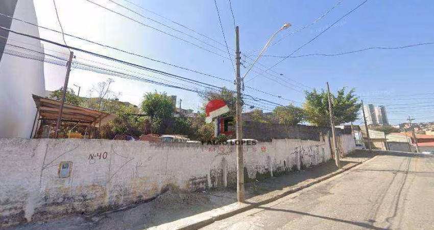 TERRENO COMERCIAL 564 M² NA VILA PALMARES À VENDA !