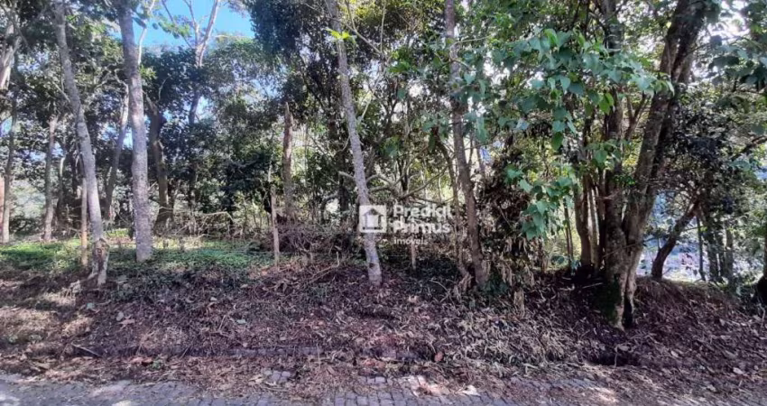 Terreno à venda, 480 m² por R$ 200.000,00 - Vargem Grande - Nova Friburgo/RJ