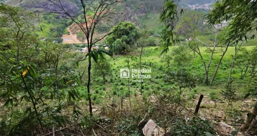 Terreno à venda, 14340 m² por r$ 450.000,00 - riograndina - nova friburgo/rj