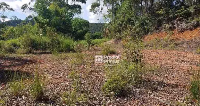 Terreno à venda, 20159 m² por r$ 380.000,00 - colonial 61 - nova friburgo/rj