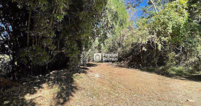 Terreno à venda, 1790 m² por r$ 319.000,00 - cônego - nova friburgo/rj