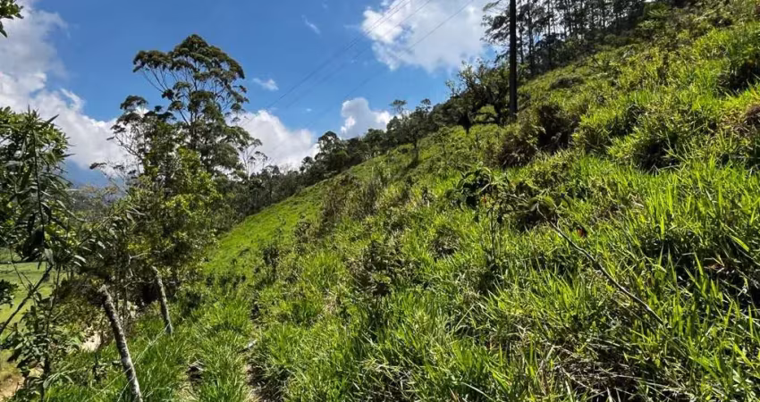 Terreno à venda, 503 m² por r$ 70.000,00 - salinas - nova friburgo/rj