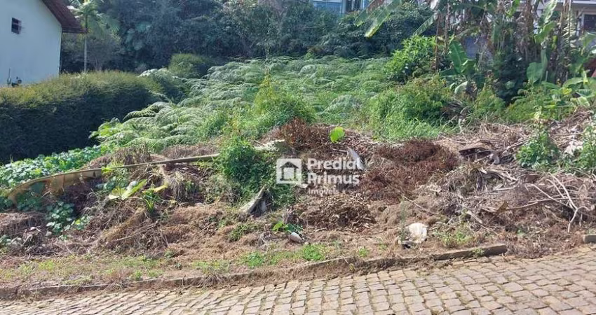 Terreno à venda, 465 m² por R$ 325.000,00 - Braunes - Nova Friburgo/RJ