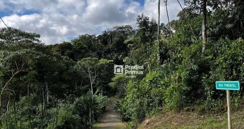 Terreno à venda, 1150 m² por r$ 250.000,00 - ponte da saudade - nova friburgo/rj