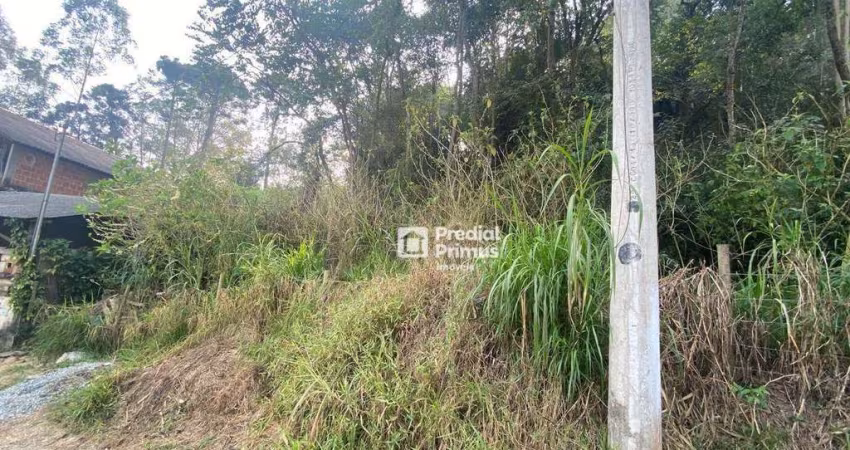 Terreno à venda, 14800 m² por R$ 325.000,00 - Conselheiro Paulino - Nova Friburgo/RJ