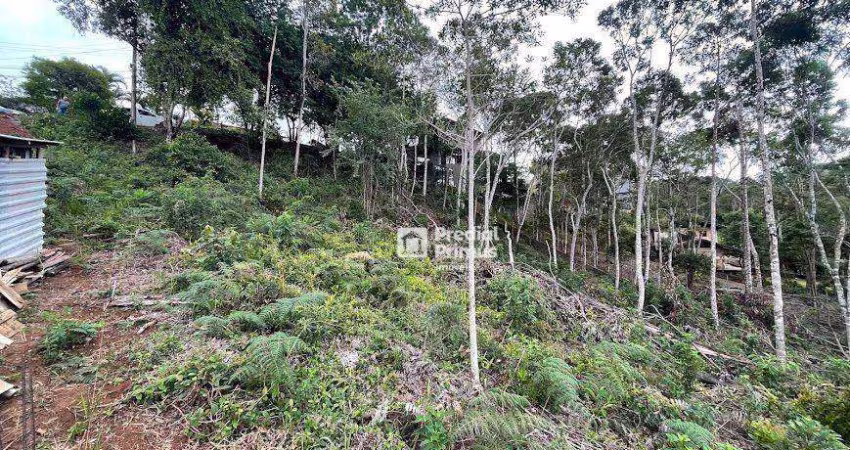 Terreno à venda, 1149 m² por R$ 680.000,00 - Braunes - Nova Friburgo/RJ