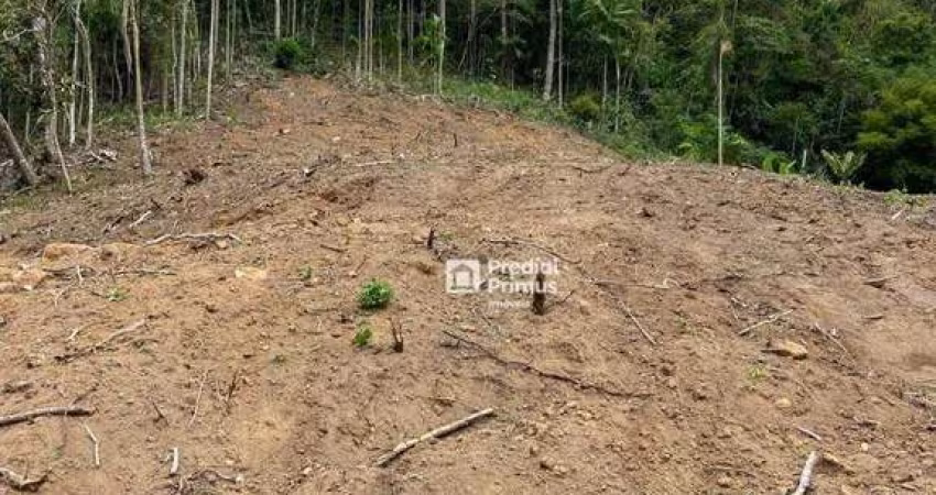 Terreno à venda, 20560 m² por R$ 650.000 - Cônego - Nova Friburgo/RJ