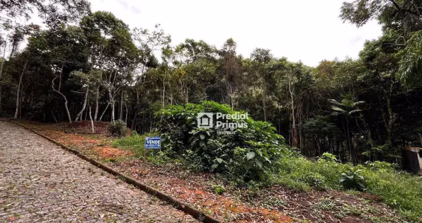 Terreno à venda, 629 m² por r$ 430.000,00 - cônego - nova friburgo/rj