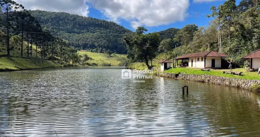 Fazenda de 290 hectares com infraestrutura completa e riquezas natuais