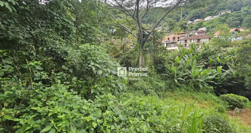 Terreno à venda, 720 m² por r$ 130.000,00 - parque dom joão vi - nova friburgo/rj