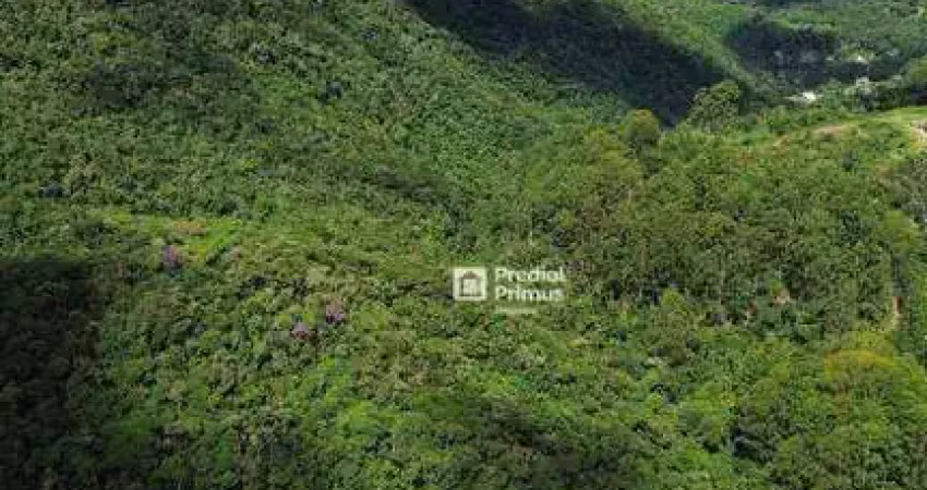 Terreno à venda, 367525 m² por r$ 2.600.000,00 - caledônia - nova friburgo/rj