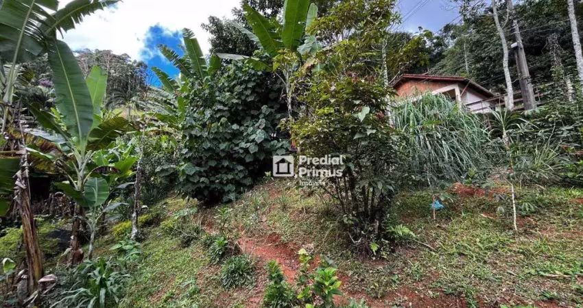 Terreno à venda, 650 m² por r$ 320.000,00 - são pedro da serra - nova friburgo/rj