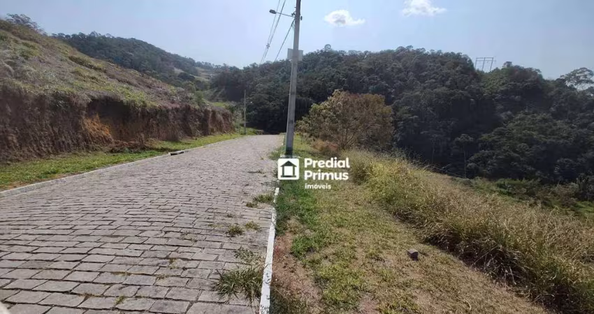 Terreno à venda, 690 m² por r$ 300.000,00 - conselheiro paulino - nova friburgo/rj