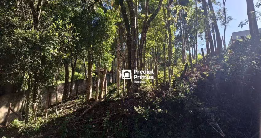 Terreno à venda, 489 m² por r$ 190.000,00 - mury - nova friburgo/rj
