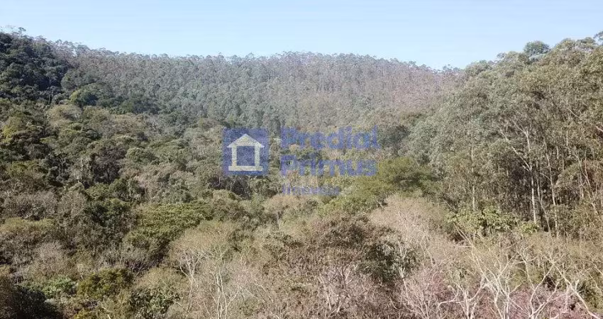 Terreno à venda, 81675 m² por r$ 1.600.000,00 - varginha - nova friburgo/rj