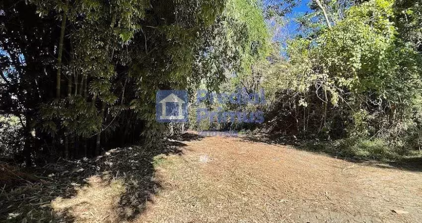 Terreno à venda, 1790 m² por r$ 269.000,00 - cônego - nova friburgo/rj