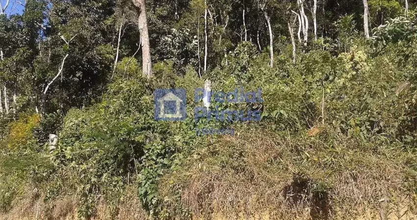 Terreno à venda, 4447 m² por r$ 180.000,00 - mury - nova friburgo/rj