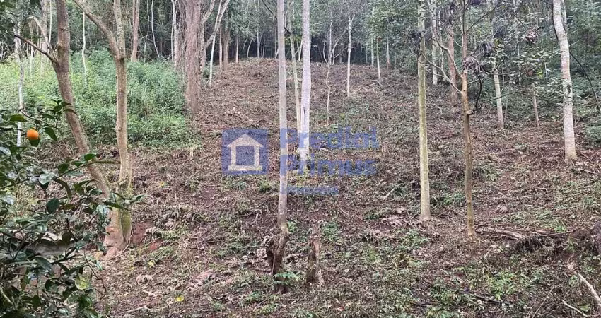 Terreno à venda, 1533 m² por r$ 200.000,00 - parque dom joão vi - nova friburgo/rj