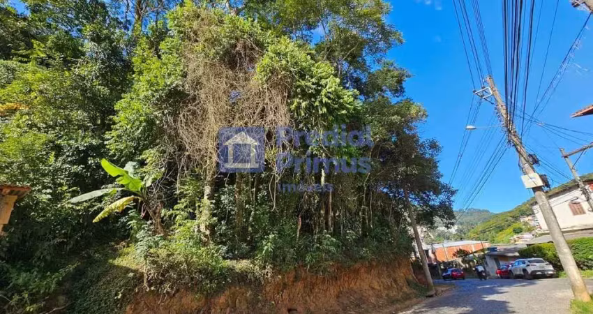 Terreno à venda, 1230 m² por r$ 170.000,00 - varginha - nova friburgo/rj