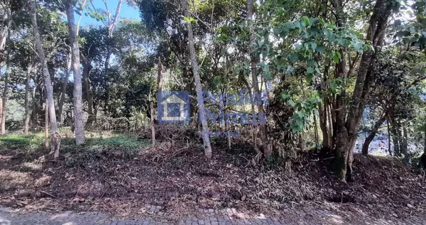 Terreno à venda, 480 m² por r$ 200.000,00 - vargem grande - nova friburgo/rj