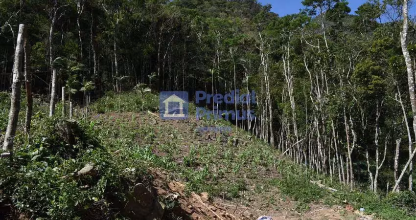 Terreno à venda, 780 m² por r$ 380.000,00 - são pedro da serra - nova friburgo/rj